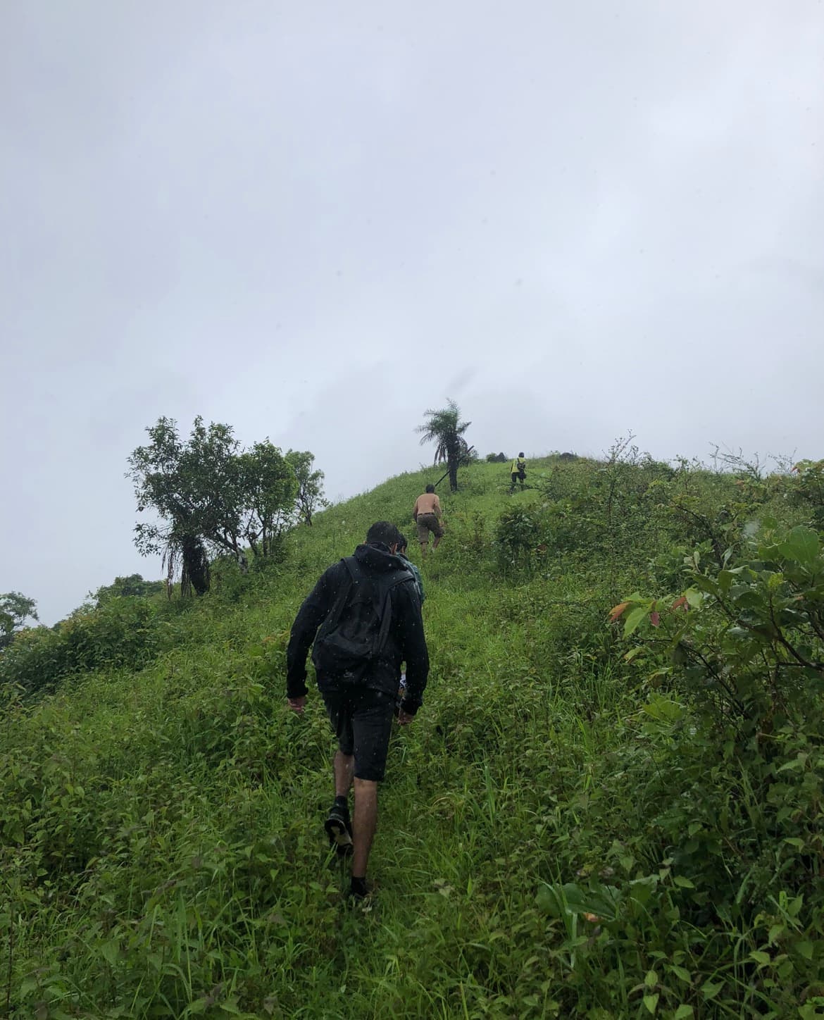 Mountain Ridge Trail