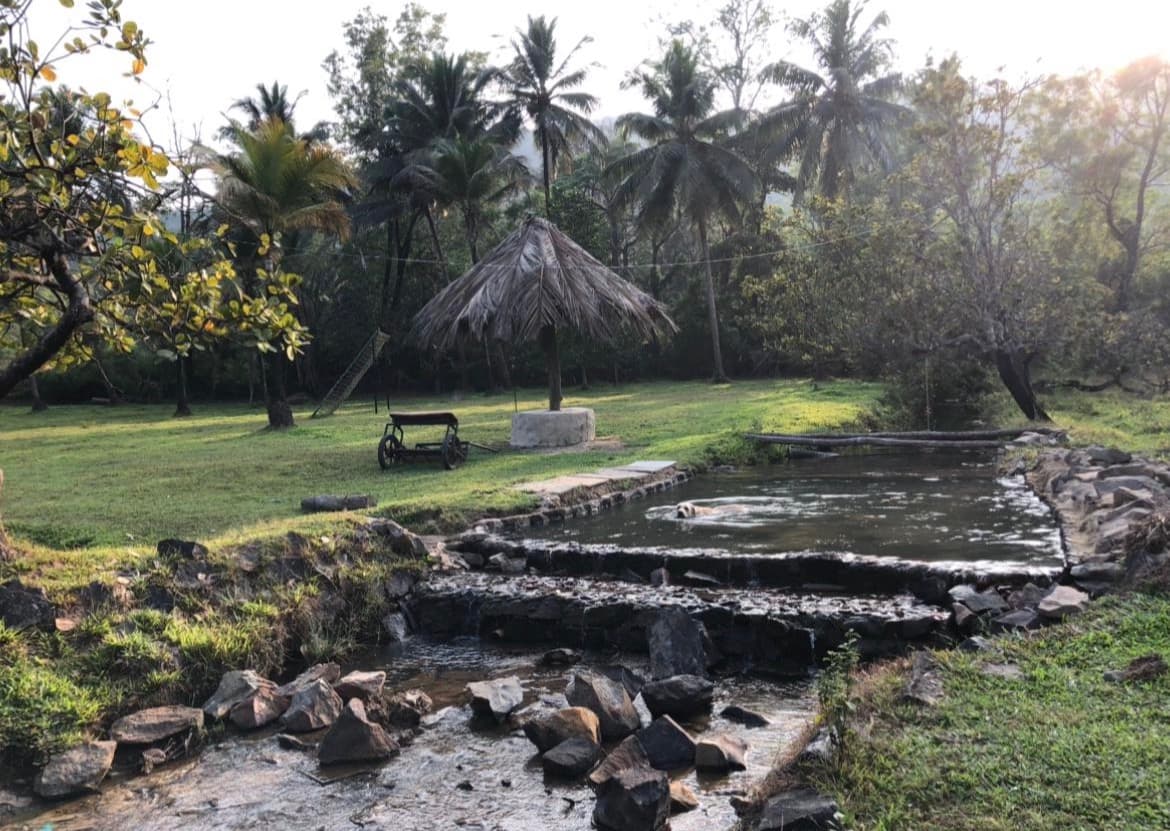 Horse Farm & Riding Experience