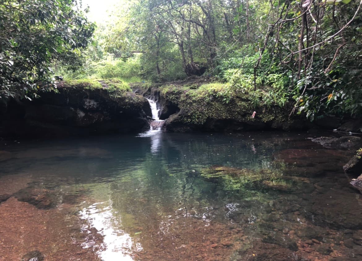 Sadolxem Waterfall Trek Canacona - image 1