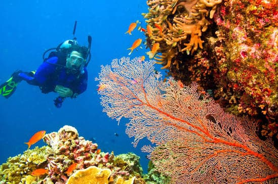 Scuba Diving Package
