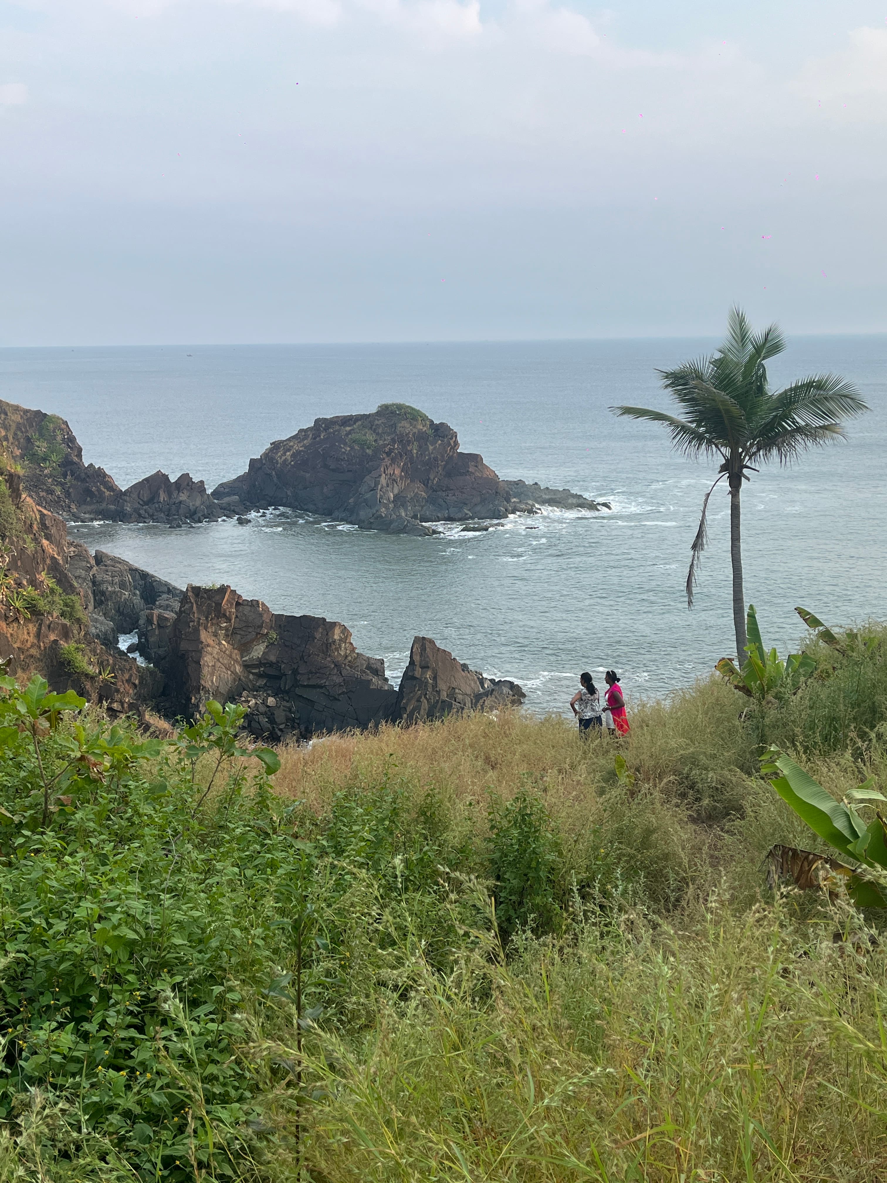 Ocean Cliff Viewpoint